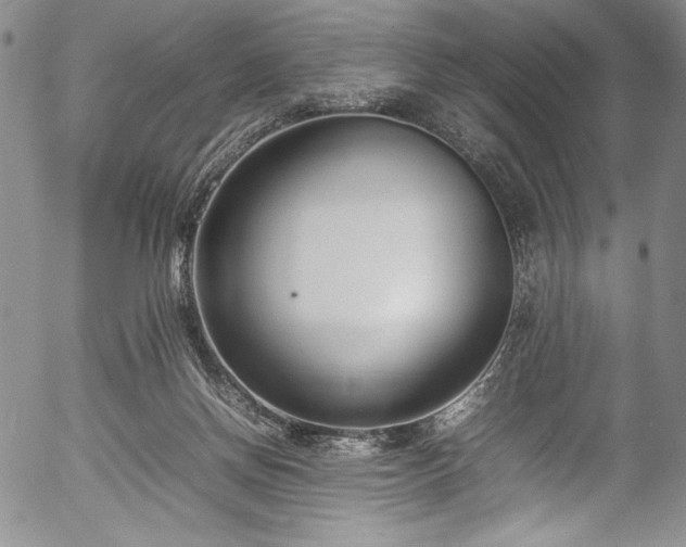 X0000054390166200508011302