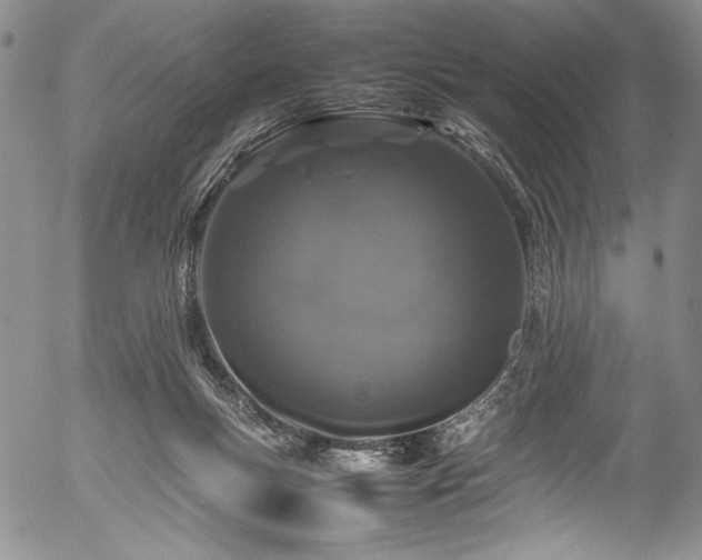 X0000054390167200508011302