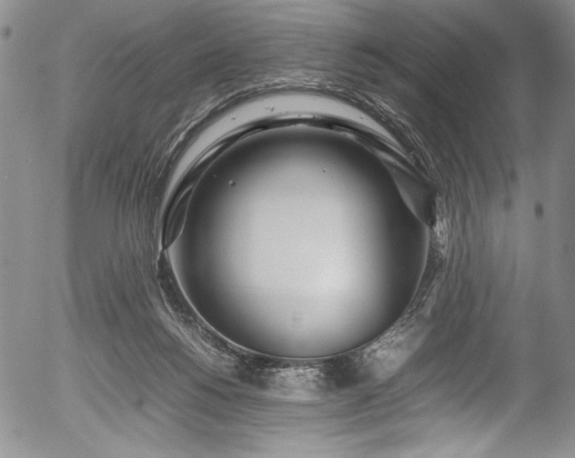 X0000054390168200508011302