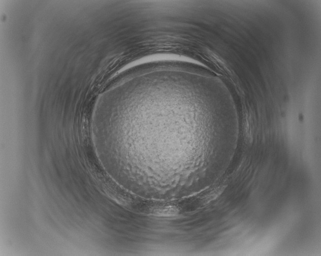 X0000054390169200508011302