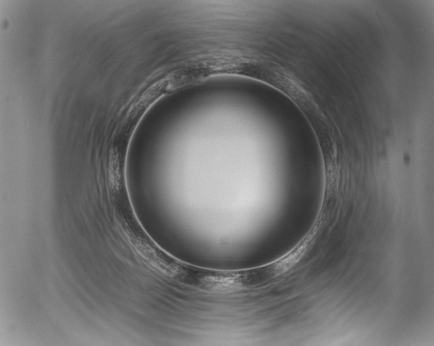 X0000054390170200508011302