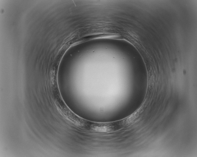 X0000054390171200508011302