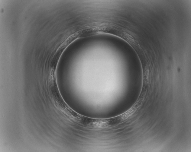 X0000054390172200508011302