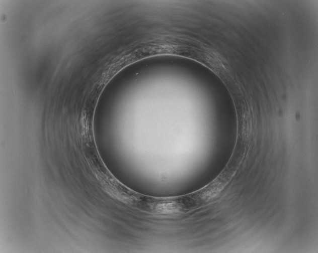 X0000054390173200508011302