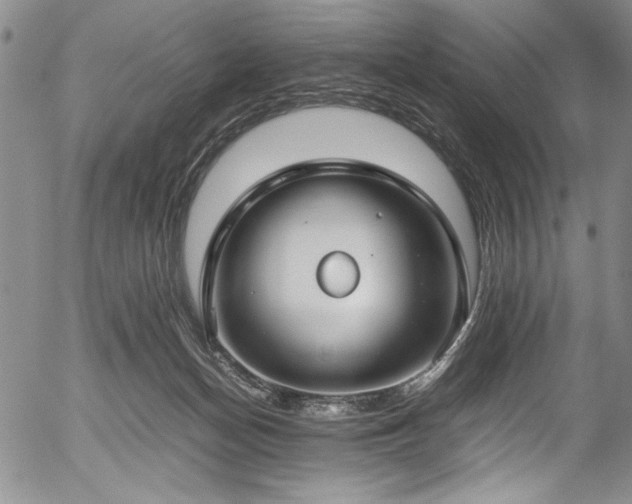 X0000054390174200508011302