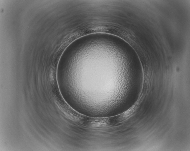 X0000054390175200508011302