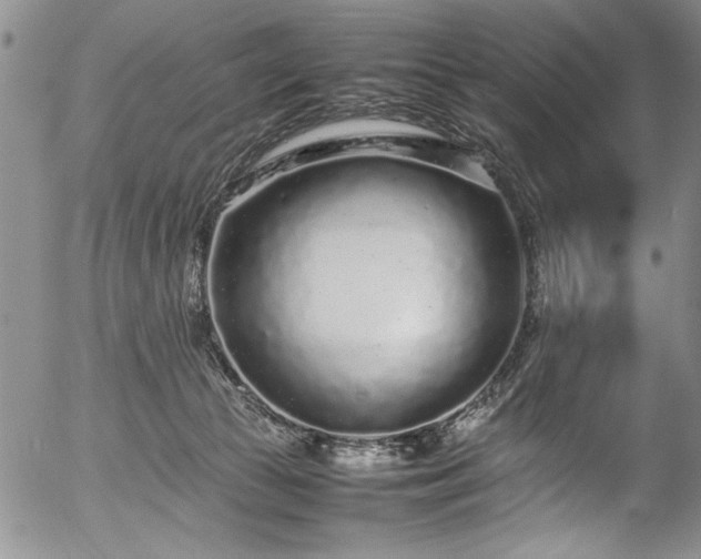 X0000054390177200508011302