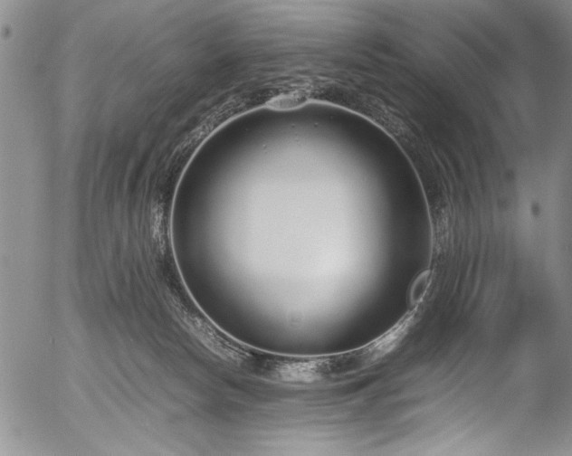 X0000054390178200508011302