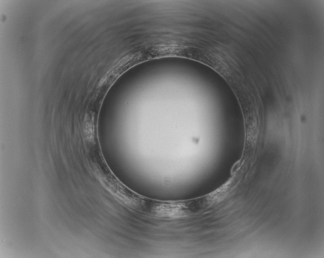 X0000054390179200508011302