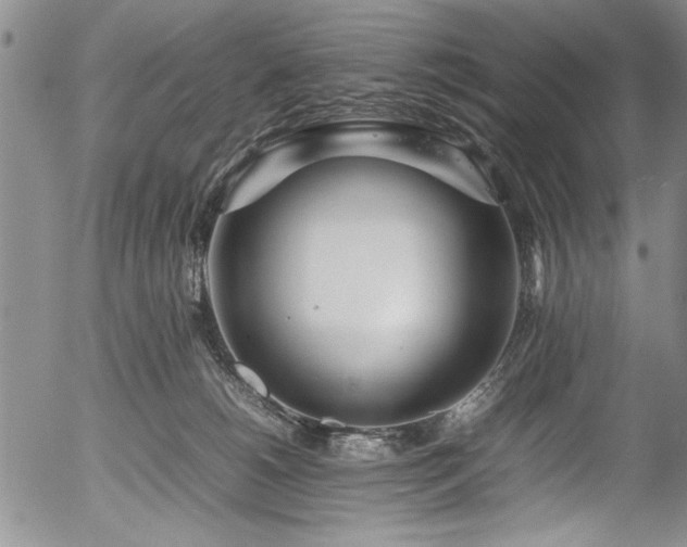 X0000054390180200508011302