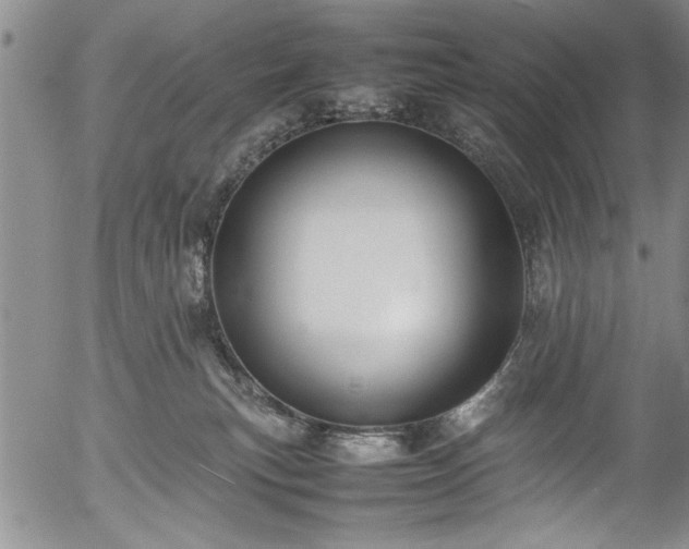 X0000054390183200508011302