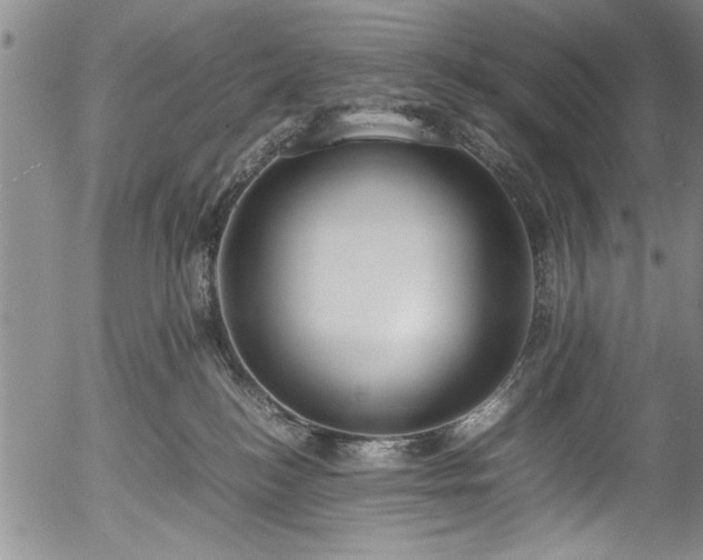 X0000054390184200508011302