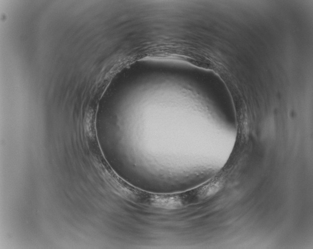 X0000054390185200508011302