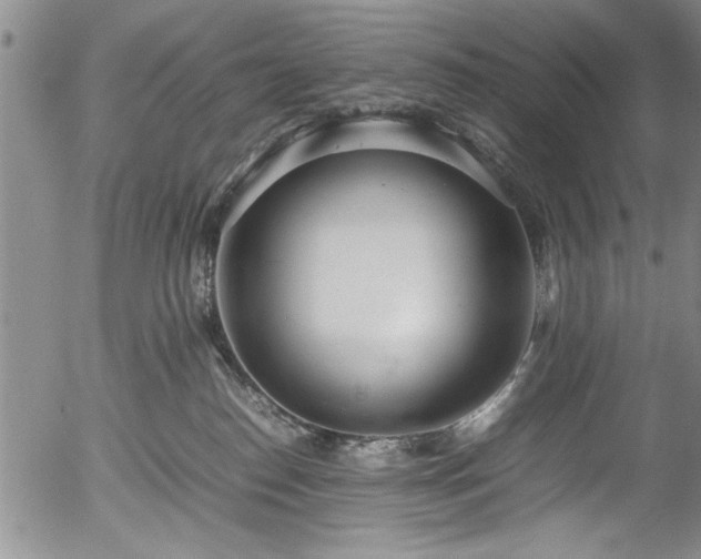 X0000054390186200508011303