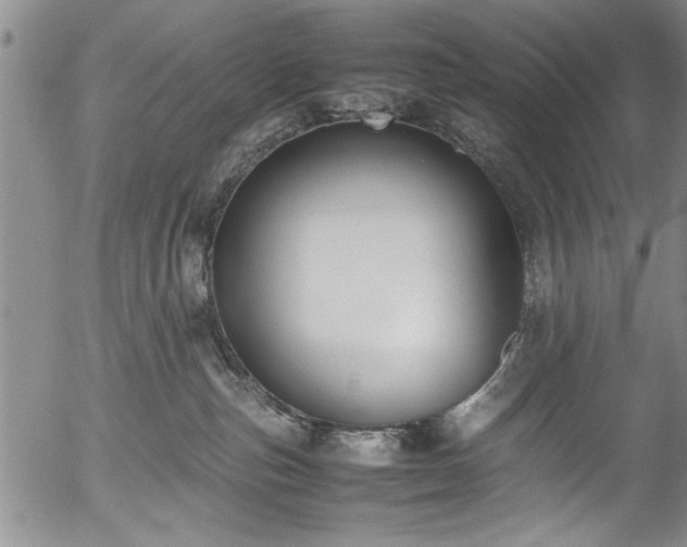 X0000054390187200508011303