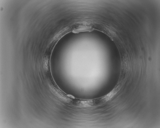 X0000054390188200508011303