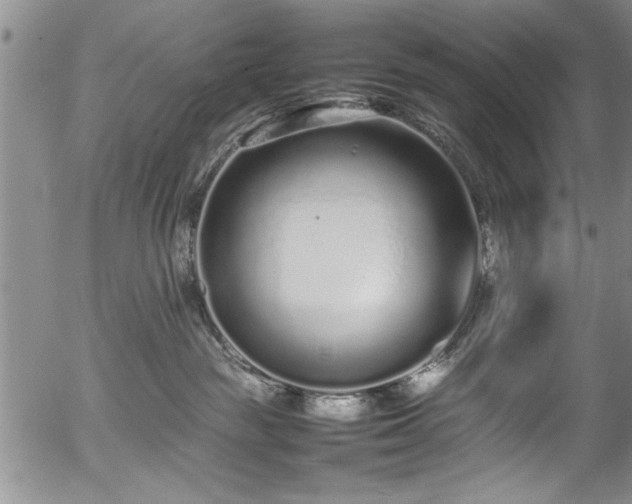 X0000054390189200508011303