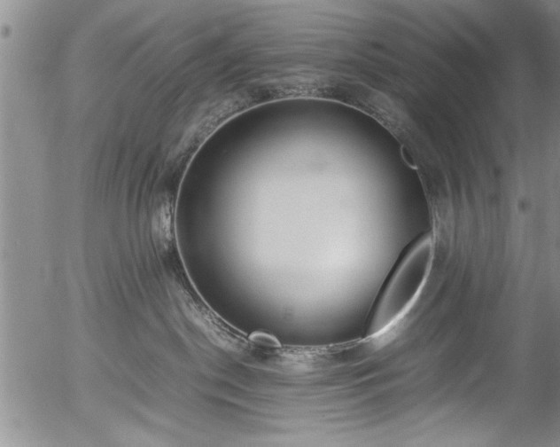 X0000054390190200508011303