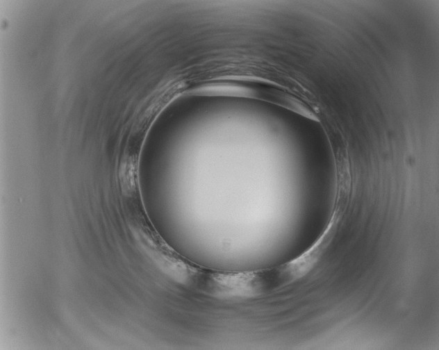 X0000054390191200508011303