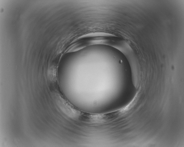 X0000054390192200508011303