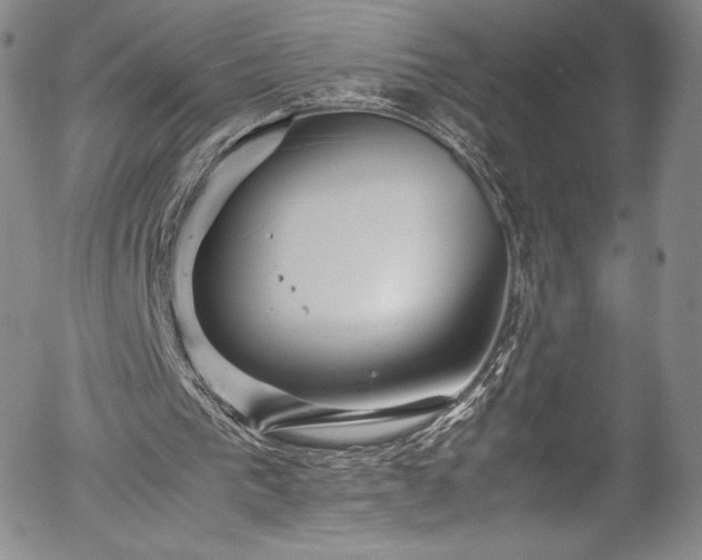 X0000054390193200508011302