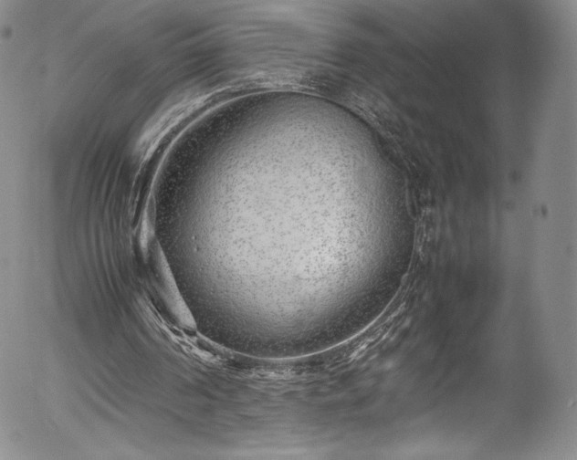 X0000054390194200508011302