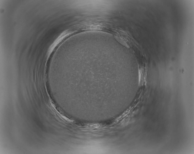 X0000054390195200508011302