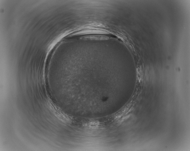 X0000054390196200508011302