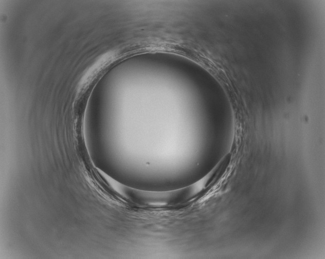 X0000054390197200508011302