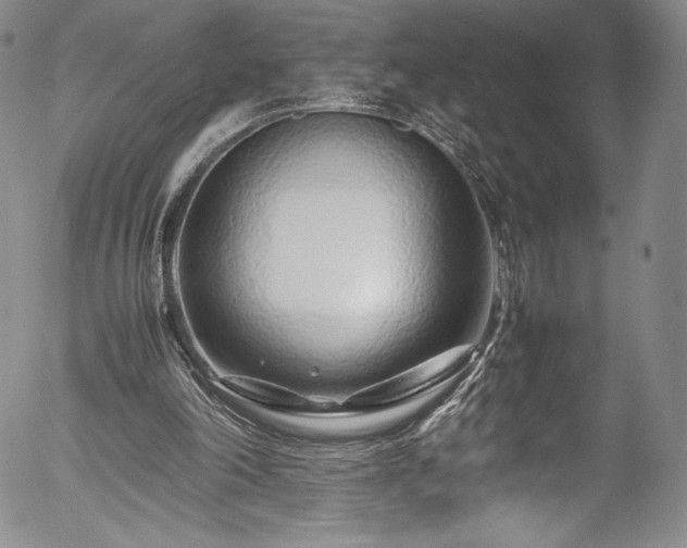 X0000054390198200508011302