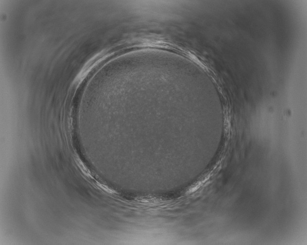 X0000054390199200508011302