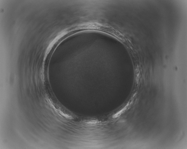 X0000054390200200508011302