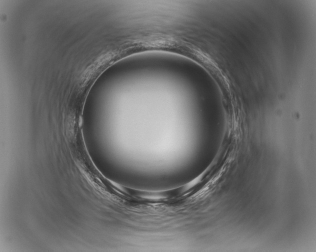 X0000054390201200508011302