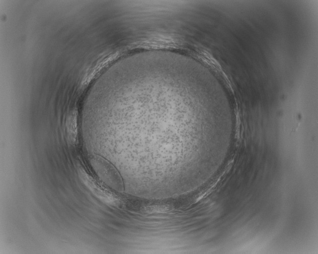 X0000054390202200508011302