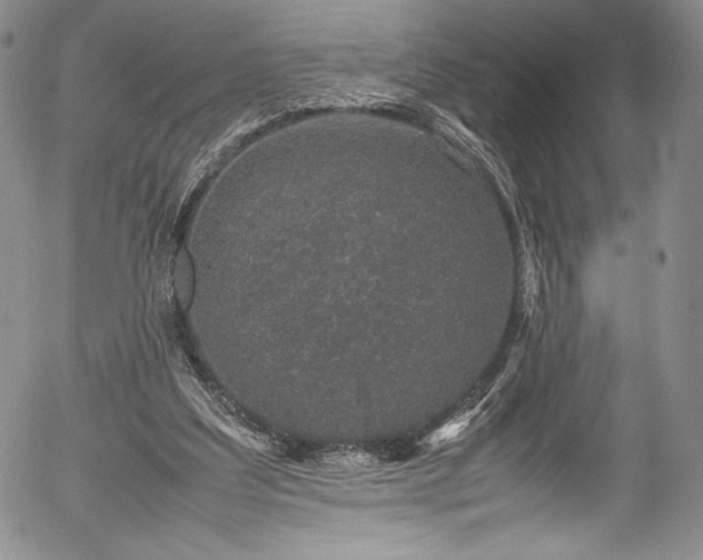 X0000054390203200508011302