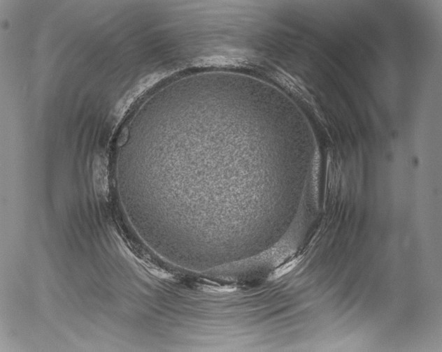 X0000054390204200508011302