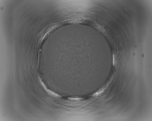 X0000054390205200508011302