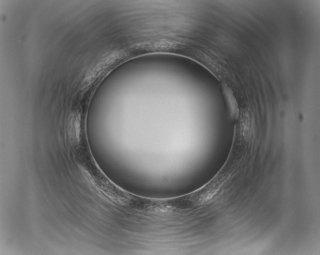 X0000054390206200508011302