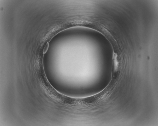 X0000054390207200508011302