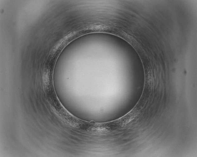 X0000054390208200508011302