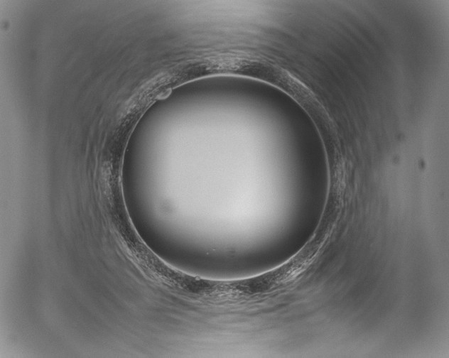 X0000054390209200508011302