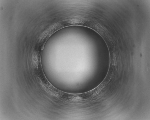 X0000054390210200508011302