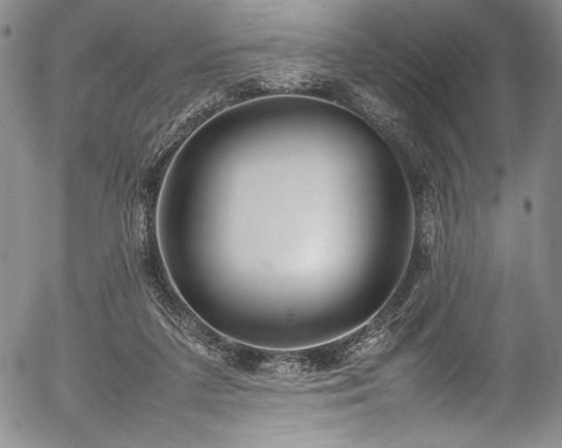 X0000054390211200508011301