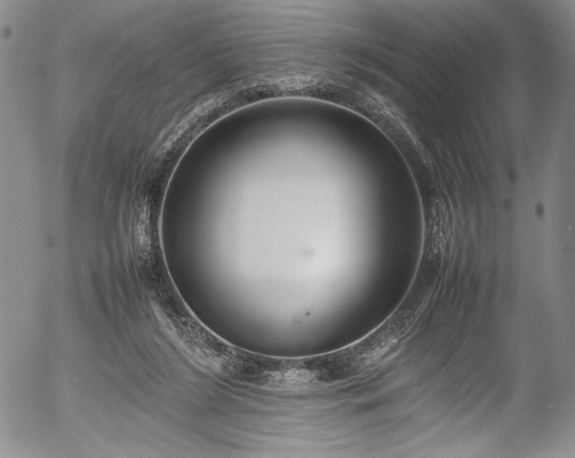 X0000054390212200508011301