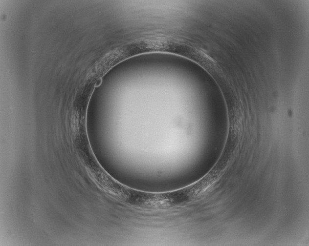 X0000054390213200508011301