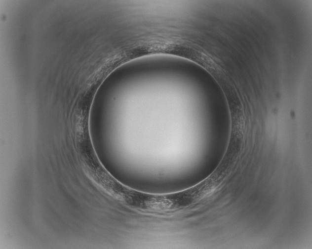 X0000054390215200508011301