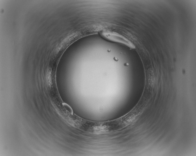 X0000054390216200508011301