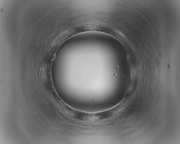 X0000054390217200508011301