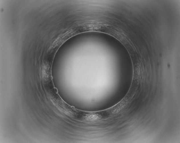 X0000054390218200508011301