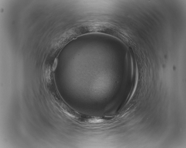 X0000054390219200508011301